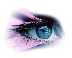 icone-logo