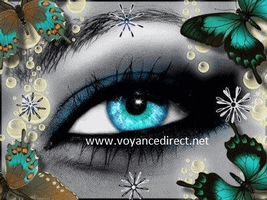 oeil